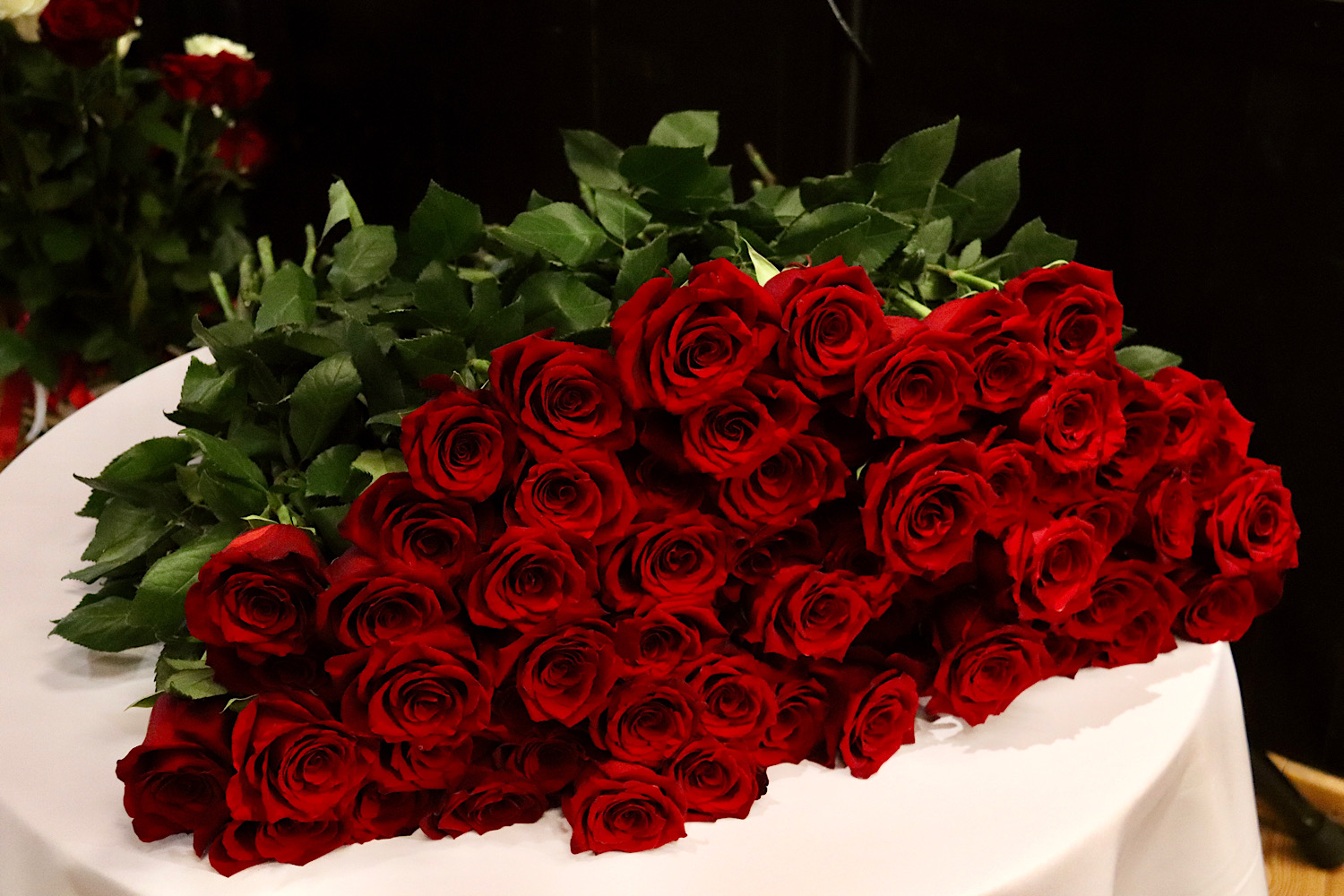 Sarkanas rozes