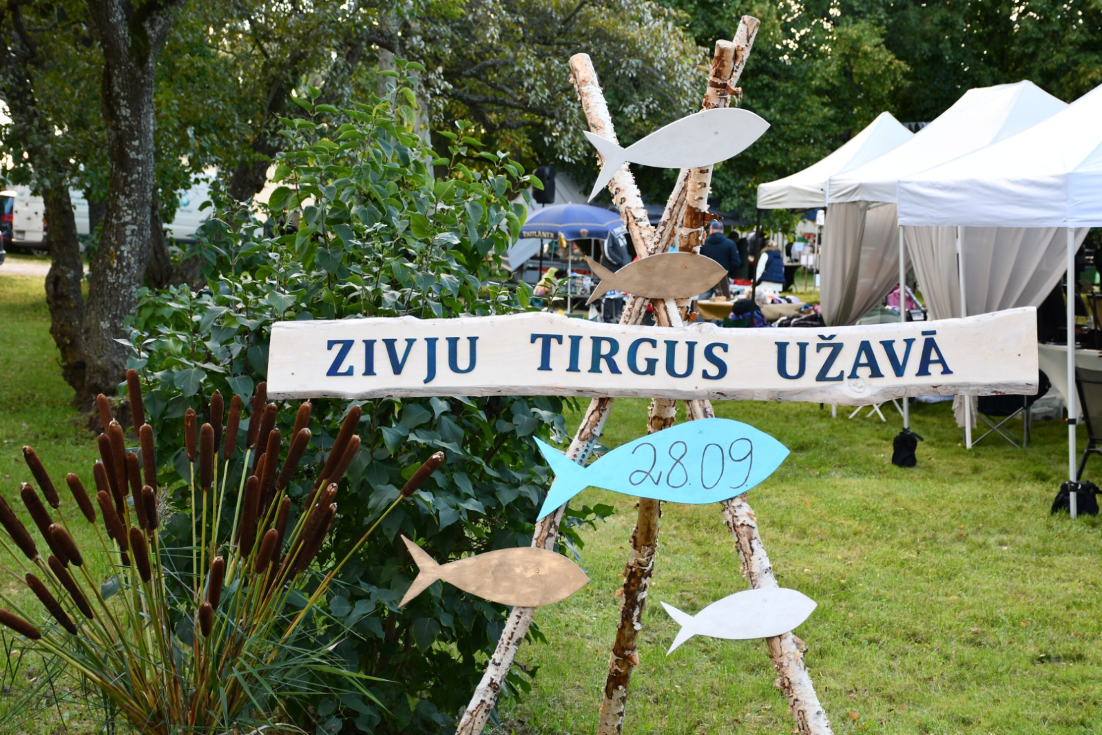 Zivju tirgus Užavā norisinājās jau 5. gadu