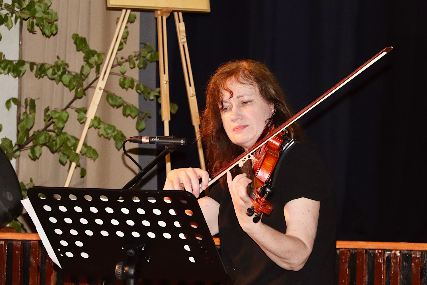 Muzikāls priekšnesums