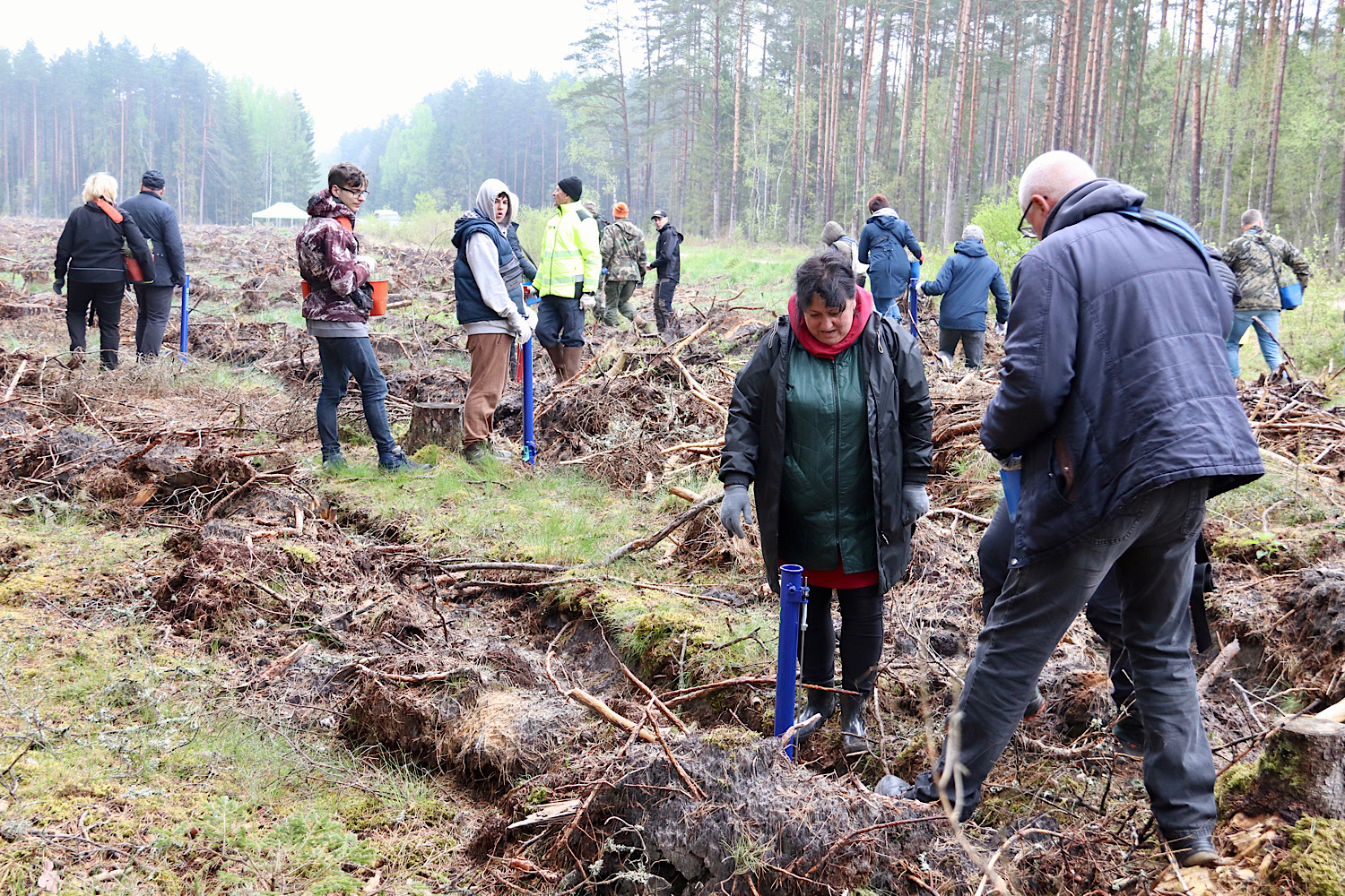 Tiek stādīti kociņi