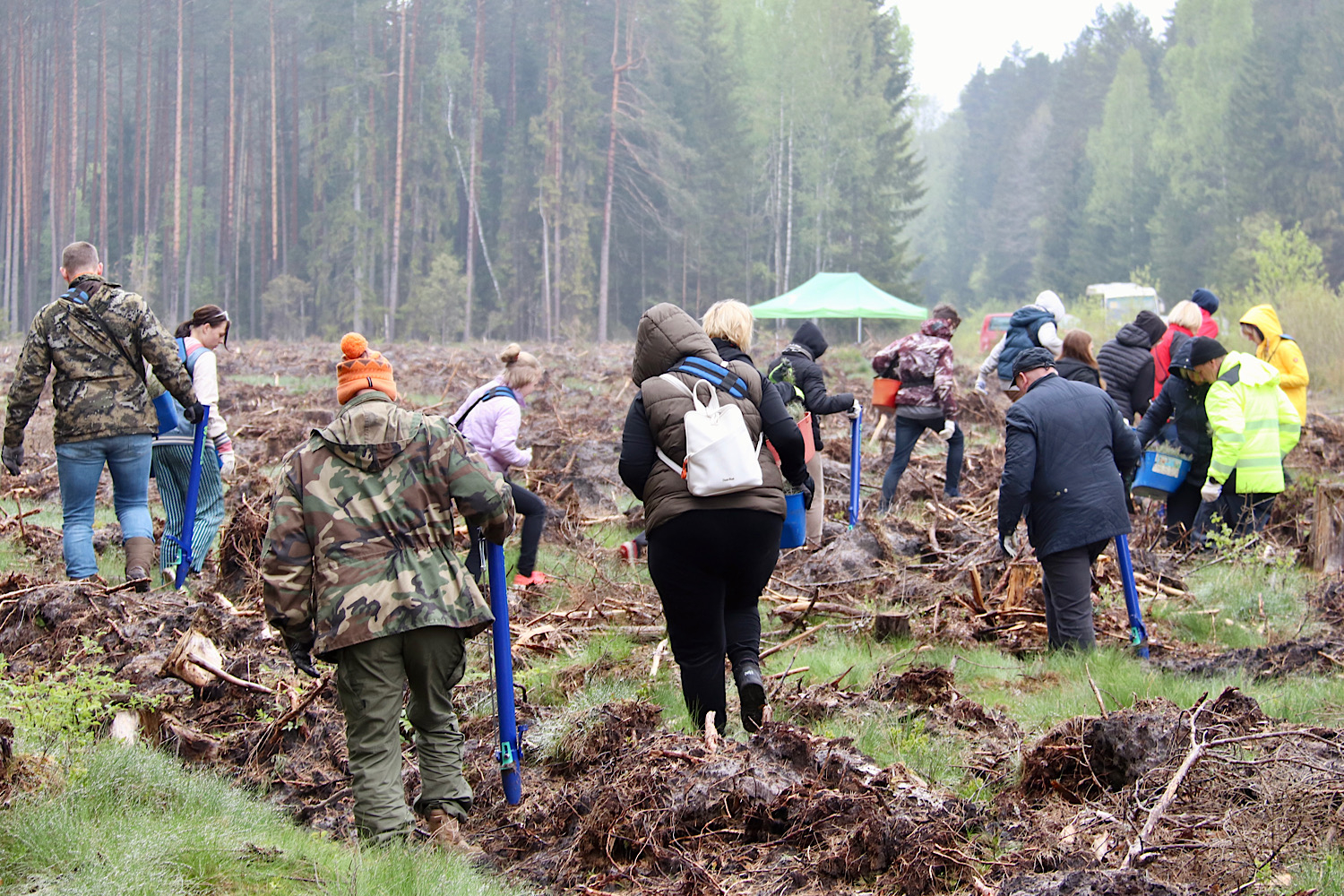 Tiek stādīti kociņi
