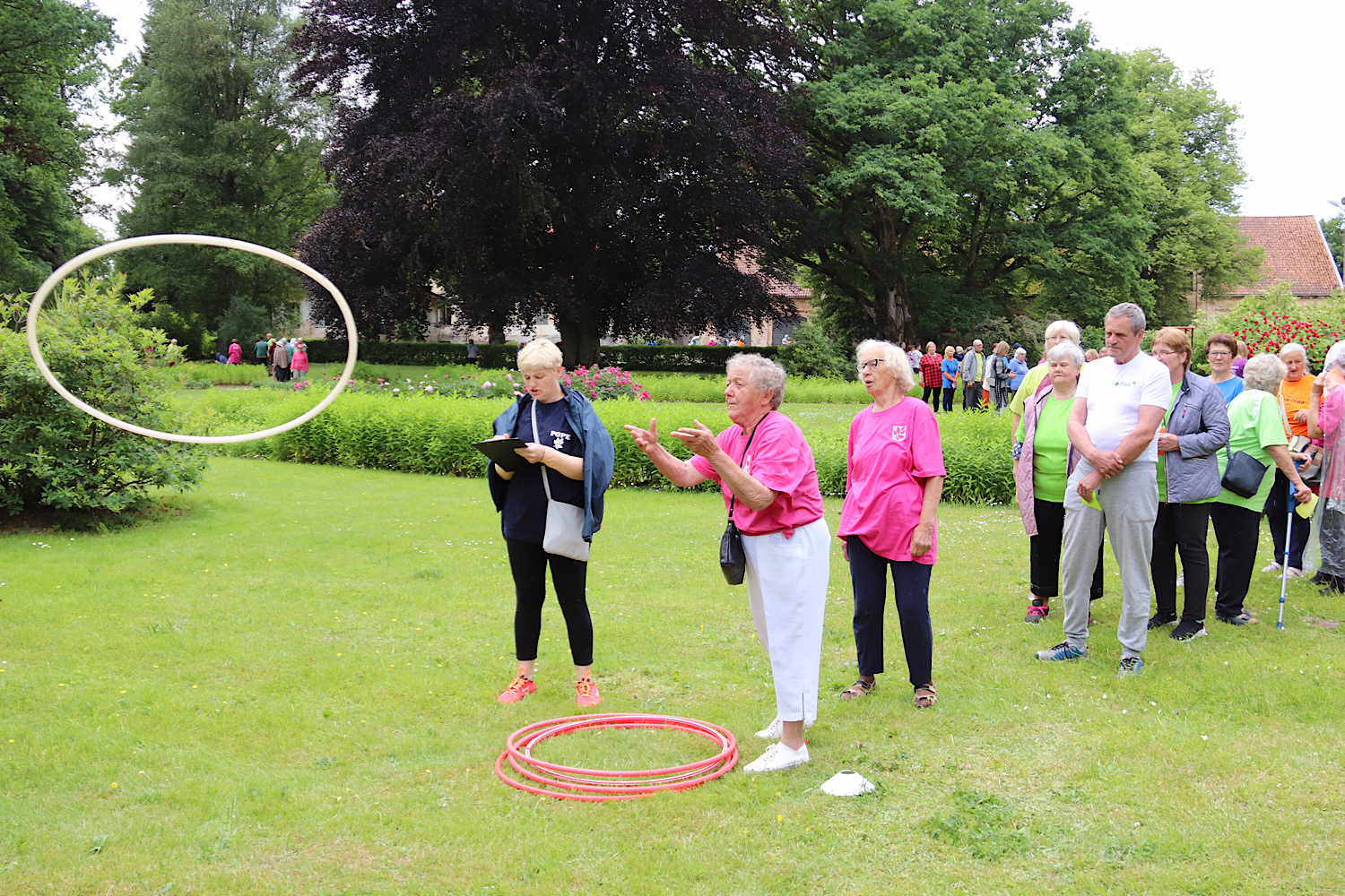 Dažādas senioru aktivitātes