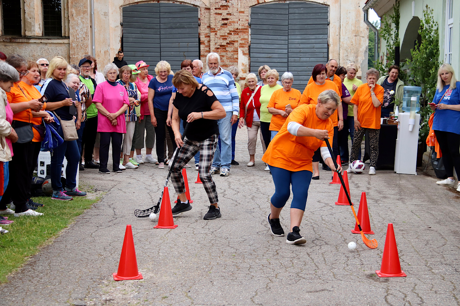 Dažādas senioru aktivitātes