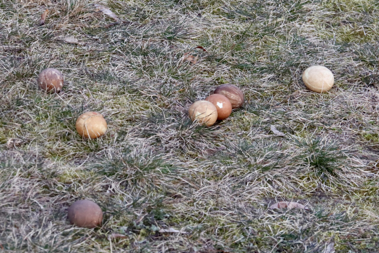 Krāsainas olas zālē